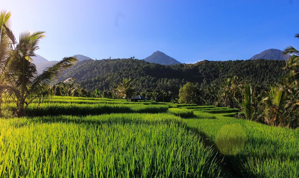 Maliana Homestay มุนดุก ภายนอก รูปภาพ